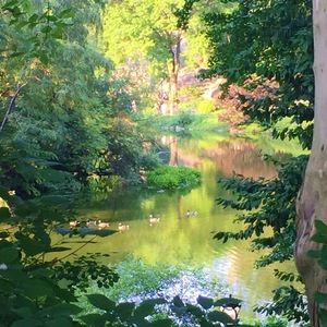 Meet your Posher, Marlene